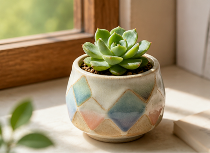 🔷 Pastel Argyle Ceramic Succulent Pot