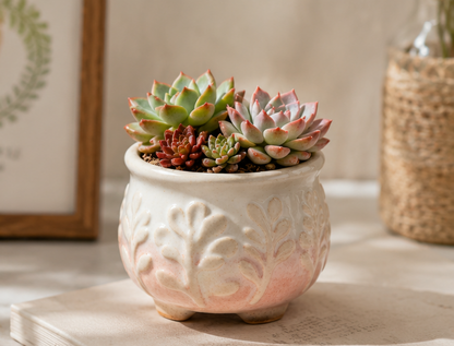 🌸 Blush Gradient Leaf Embossed Ceramic Succulent Pot