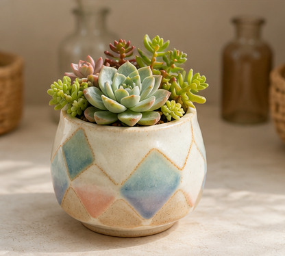 🔷 Pastel Argyle Ceramic Succulent Pot