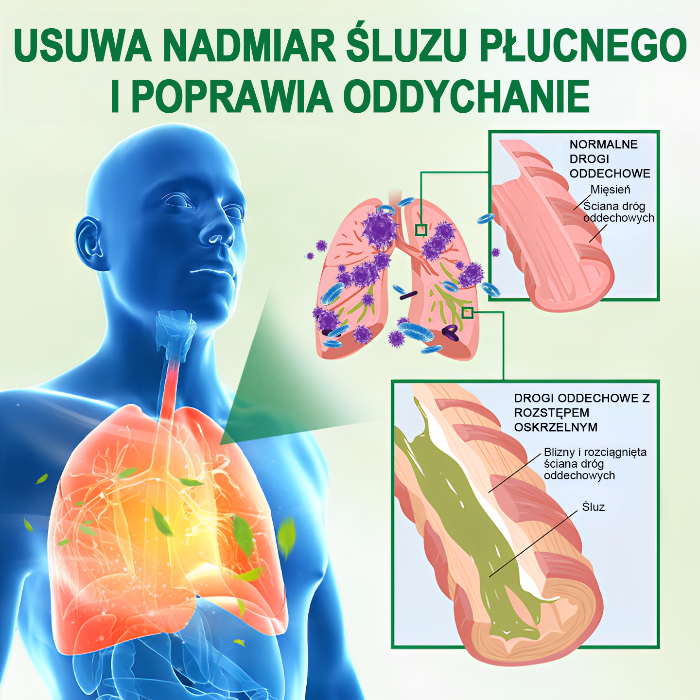 [Oficjalny flagowy sklep marki]👨‍⚕️MIQIKO Zaawansowany spray oczyszczający płuca (☘️zalecany przez specjalistów od płuc☘️)